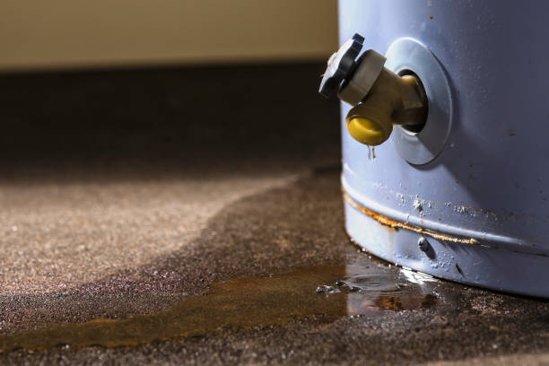 Best Basement water damage restoration  in Highland, CA