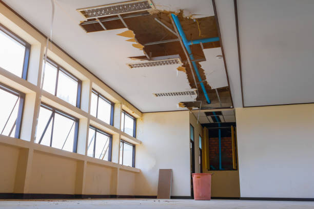 Best Professional water damage repair  in Highland, CA