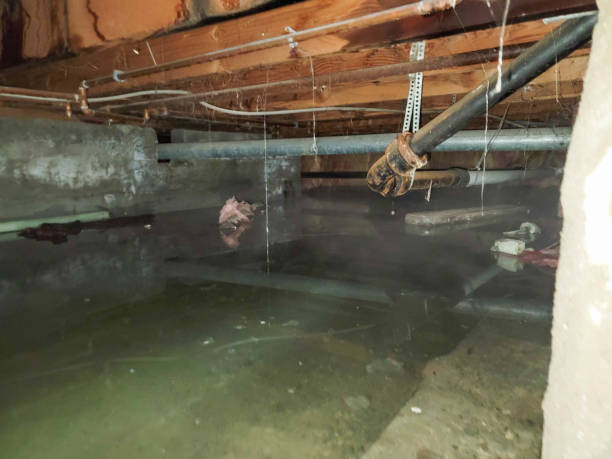 Best Local water damage restoration  in Highland, CA