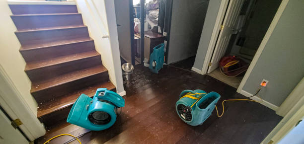 Best Residential water damage restoration  in Highland, CA