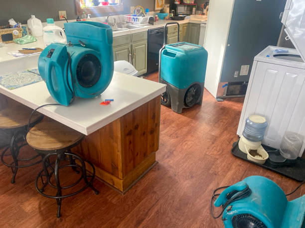 Best 24/7 water damage repair  in Highland, CA