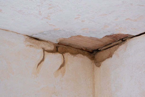 Best Carpet water damage restoration  in Highland, CA