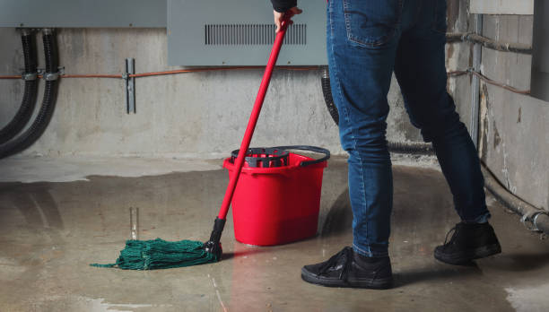 Best Flooded house restoration  in Highland, CA