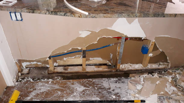 Water damage restoration mold remediation in CA
