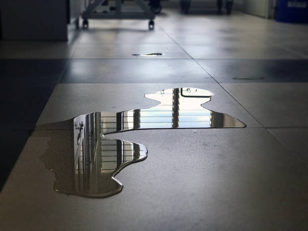 Best Water damage restoration specialists  in Highland, CA