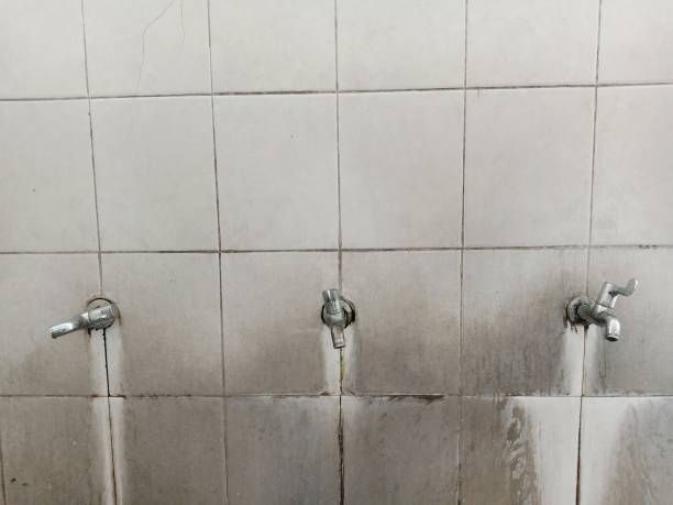 Best Professional water damage repair  in Highland, CA