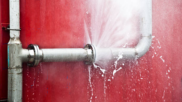 Best Water damage restoration near me  in Highland, CA
